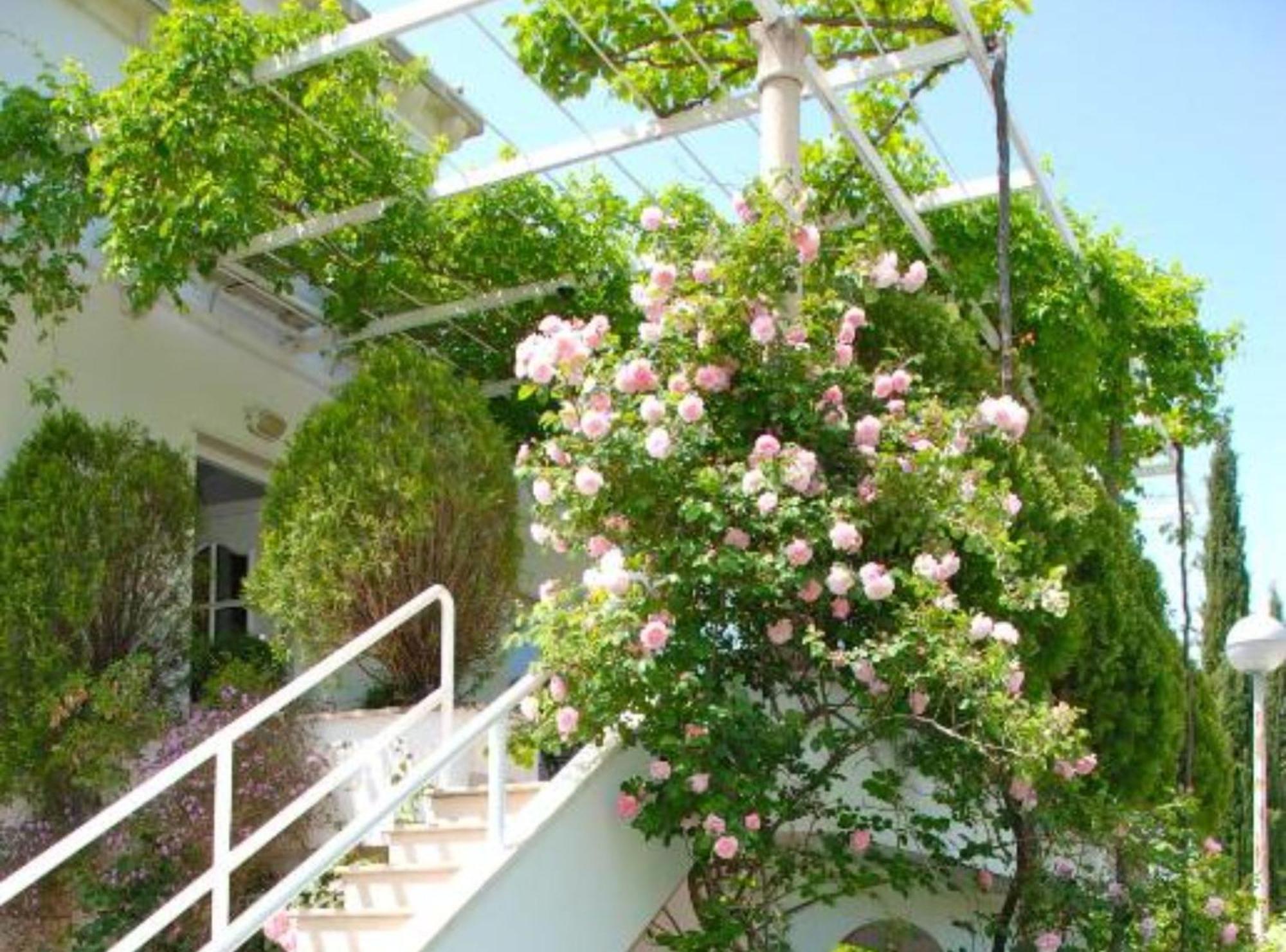 Villa Mediterranea Mlini Εξωτερικό φωτογραφία